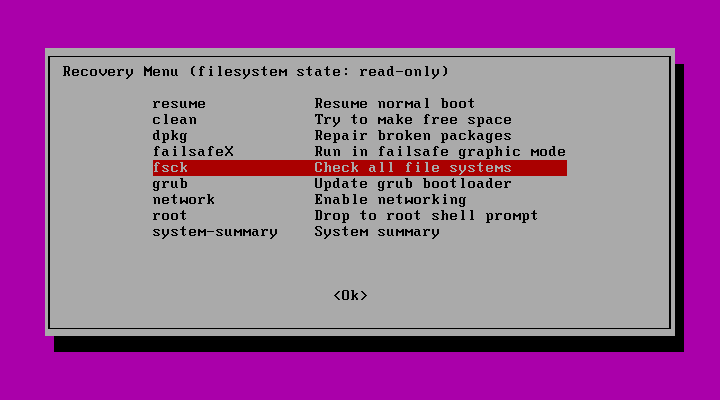 fsck option at recovery mode