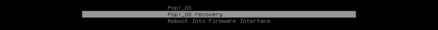 Entering Pop!_OS Recovery